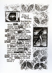 Texte illuminé de la séquence de sonnets 