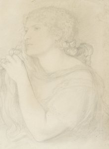 Étude de Fanny Cornforth, 1863 - Dante Gabriel Charles Rossetti