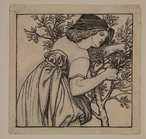 Voyage de noces du roi René - Jardinage - Dessin d