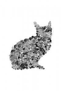 Floral Cat Silhouette - Danushka Abeygoda