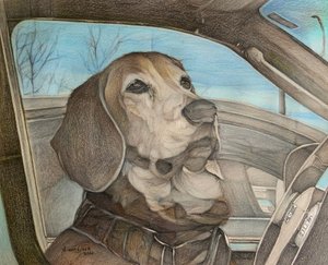 Patience - Darrell Windjack