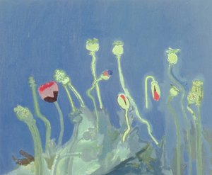 Têtes de pavot - David Alan Redpath Michie