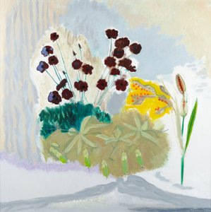 Gousses et cosmos, 2010 - David Alan Redpath Michie