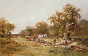 Dans la forêt de Dean
