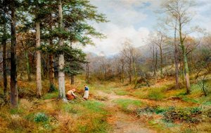 Sur le Long Mynd, Church Stretton, 1907 - David Bates