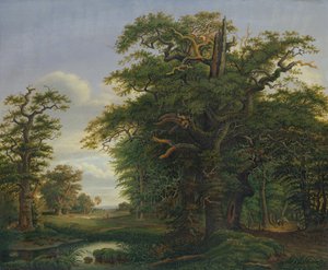 Bois de chêne, 1847 - David Christopher Mettlerkamp