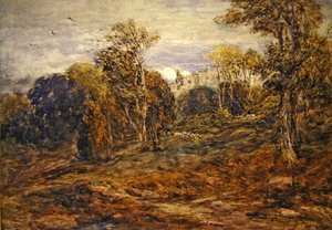 Tour de Barden - David Cox