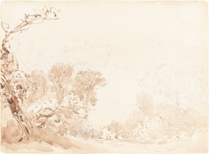 Colline et Arbres