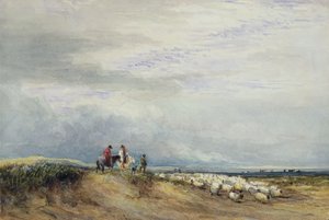 Cavaliers à Ulverstone