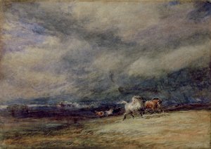 Le train de nuit - David Cox