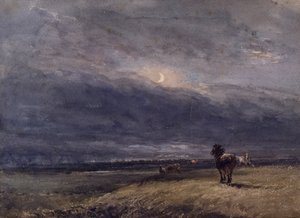 Le Train de nuit - David Cox