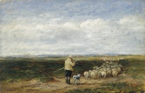 Le Berger, retour du troupeau