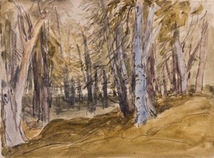 Arbres sur Box Hill