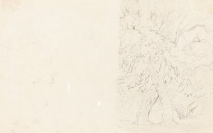 Arbres (verso) - David Cox