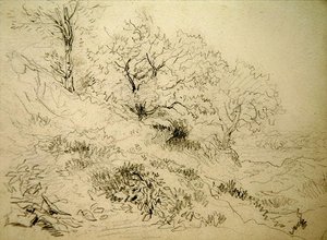 Paysage gallois - David Cox