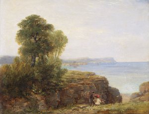 Baie de Cardigan
