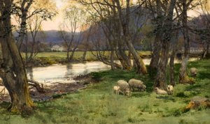 Achray - David Farquharson