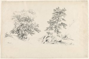 Châtaignier et pin, 1869 - David Johnson