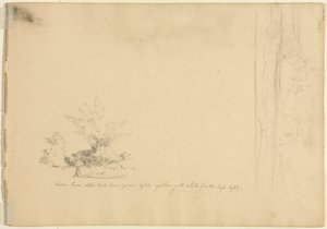 Études de paysages et d