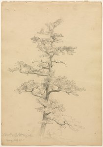 Pin, Conway, New Hampshire recto, vers 1851 - David Johnson