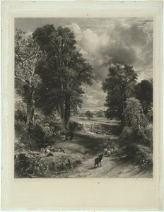 Le champ de blé - David Lucas