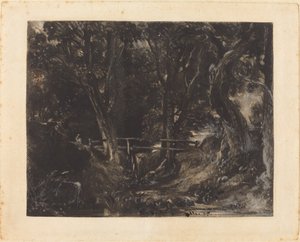 Un vallon à Helmingham Park, Suffolk - David Lucas after John Constable
