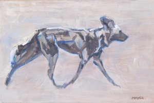 Chien peint africain (chien sauvage)