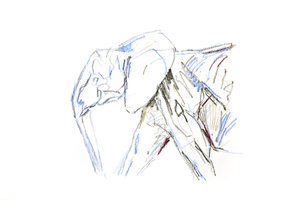 Éléphant d