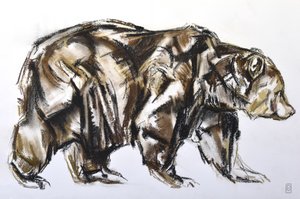 Ours brun marchant, 2012