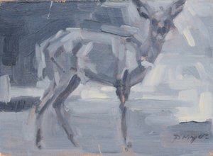 Biche de Bushbuck, 2016 - David Mayer
