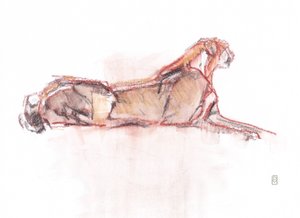 Guépard en alerte, 2019 - David Mayer