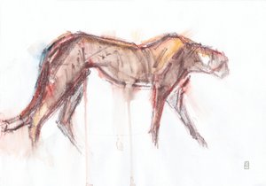 Chasse au guépard, 2019 - David Mayer