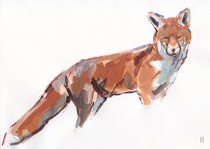 Renard roux, 2021
