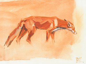 Renard roux, 2022