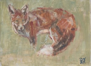Renard roux, 2022