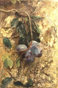 Prunes