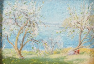 Soleil de printemps