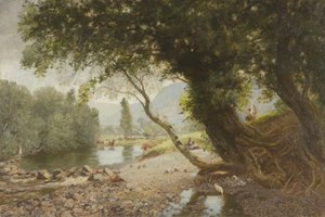 Le lierre, le chêne et le joli bouleau, Bettws-y-Coed