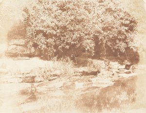 Burnside, île de Fife dans la rivière Almond