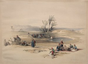 Puits de Moïse, désert de Tyh - David Roberts