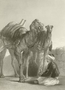 Un groupe de chameaux à Smyrne - David Wilkie