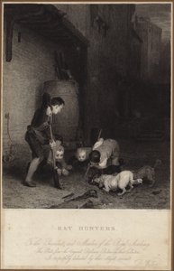 Chasseurs de rats - David Wilkie