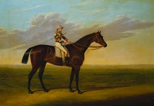 Le cheval de course baie de M. Richard Watt, "Rockingham" avec Sam Darling, sur un hippodrome
