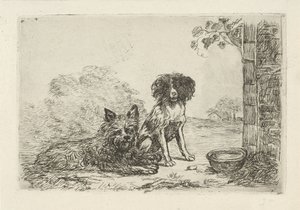 Deux chiens