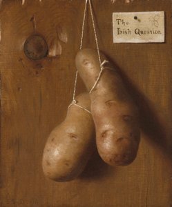La question irlandaise, années 1880