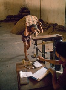 Un travailleur porte un sac de copeaux de noix de coco à utiliser comme nourriture pour le bétail. Banjuwangi, Est... - Dean Conger