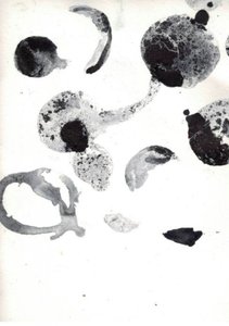 Formes abstraites fluides - Deb Chaney