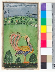 Paon mythique avec une tête de femme, vers 1750