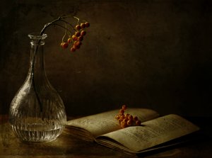  - Delphine Devos