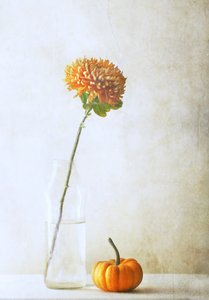 - Delphine Devos